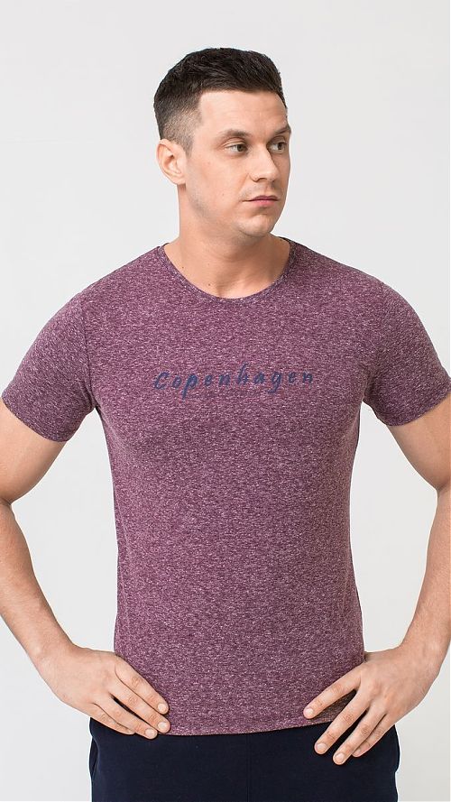 Фото Бордовая мужская футболка с текстовым принтом