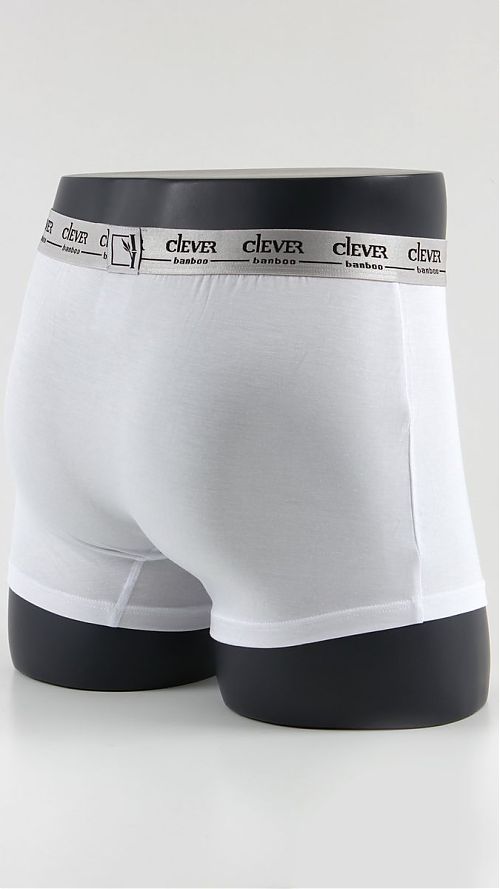 Фото CLE MH608813 Трусы мужские шорты бам белый
